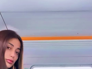 Attractive Teasing On The Train